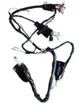 Wiring Harness for Hero Karizma R ( Electric Start 2007 Model)_HERO