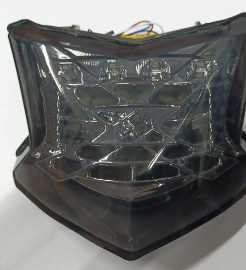 Tail Light Assembly for Kawasaki Z900 -ABK