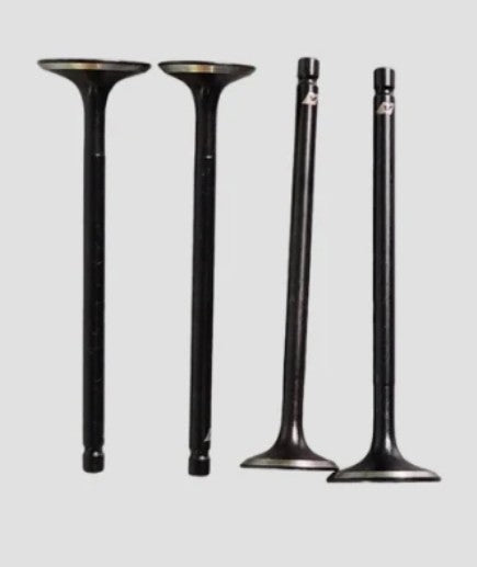 Valve Set  for RTR 200-ABK