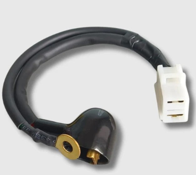 Starter Motor  Cable for Passion Pro (BS6) (NAJ2033)-HERO