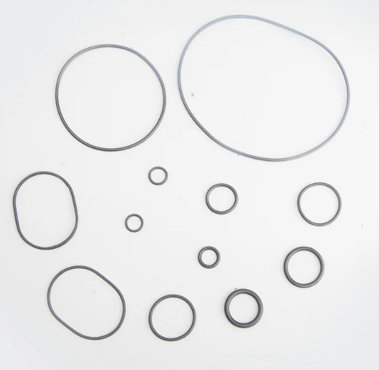 0 Ring Kit for Caliber (NAI0631)-ABK